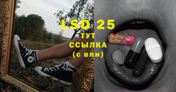 тгк Абаза